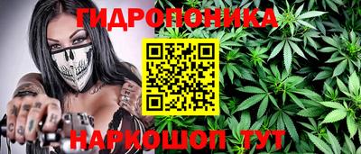 гашик Бузулук