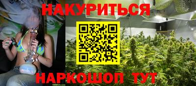 каннабис Будённовск