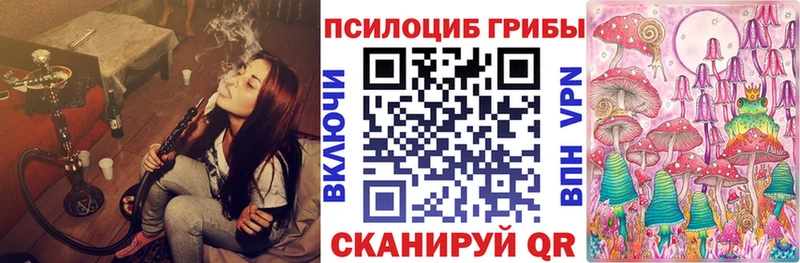 цены Зерноград Псилоцибиновые грибы Psilocybe