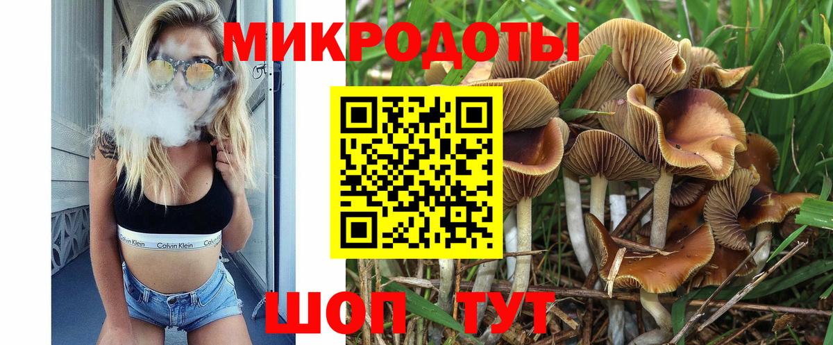 Зерноград  дарнет шоп  Вход с VPN  Псилоцибиновые грибы Magic Shrooms 